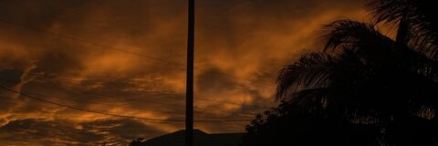 nelaa🦋 @sweetestshugga cover picture