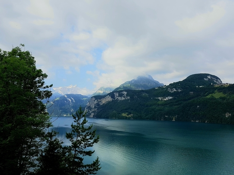 Daniele @sweetlittleangell cover picture