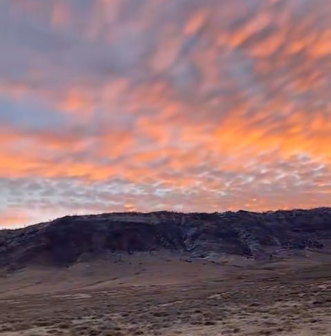 Sxmhh @sxxxxmh cover picture