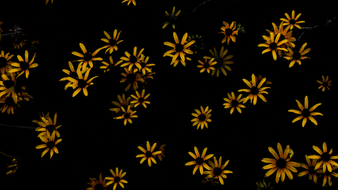 tablespoon @tablespoon cover picture