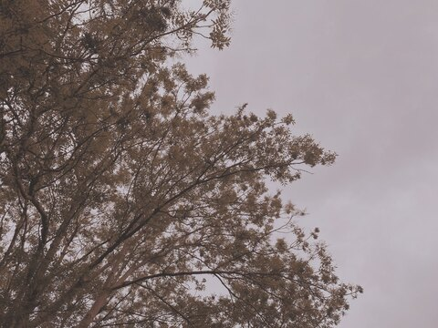 TallGrrl @tallgrrl cover picture