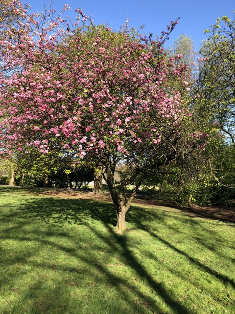 Tamsin @tamsin cover picture