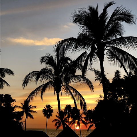 Tannah @tannahbanana cover picture