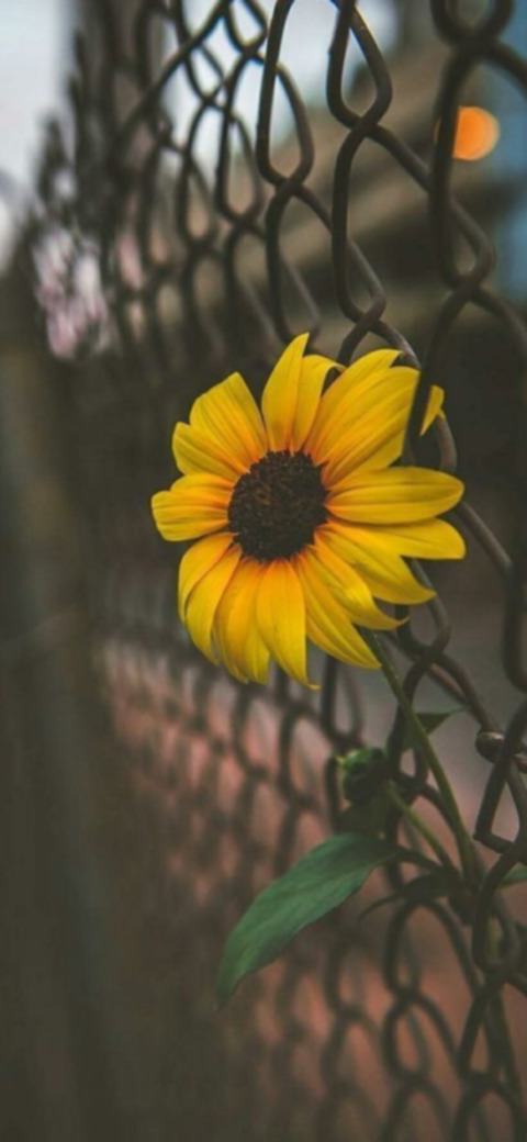 Tania @tannia cover picture