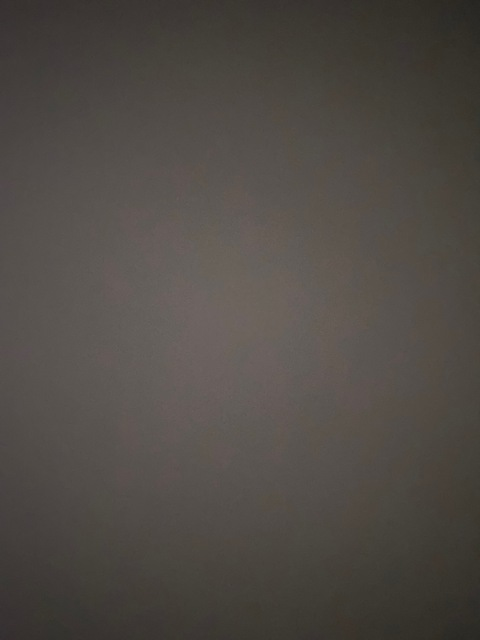 Tasha @tashathrasher01 cover picture