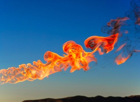 Tatiana🦋 @tatiana cover picture