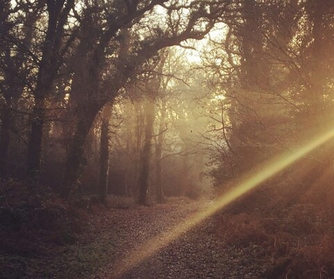 Kelly @tatkel40 cover picture