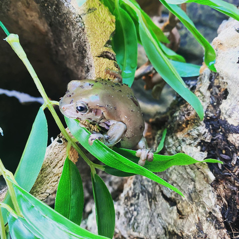 Ashley @tattooed_ash cover picture