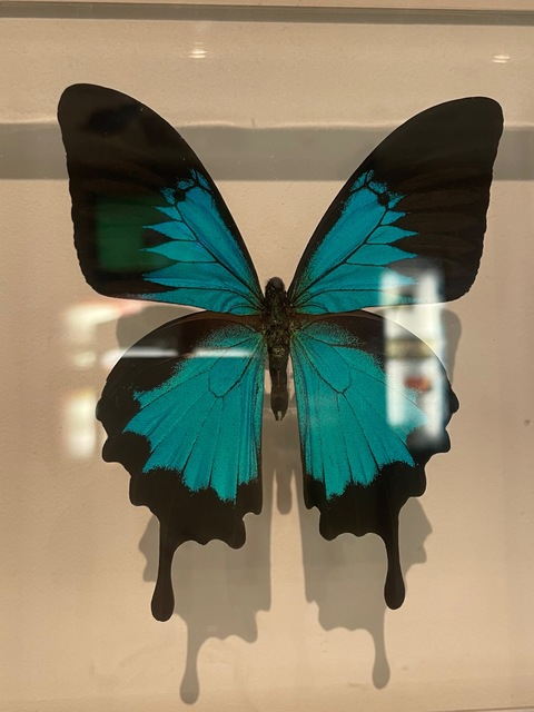 Tattunessa @tattunessa03 cover picture