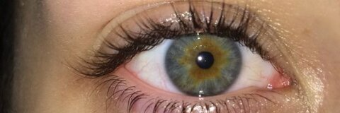 Taylir Martin @taylirwithani cover picture