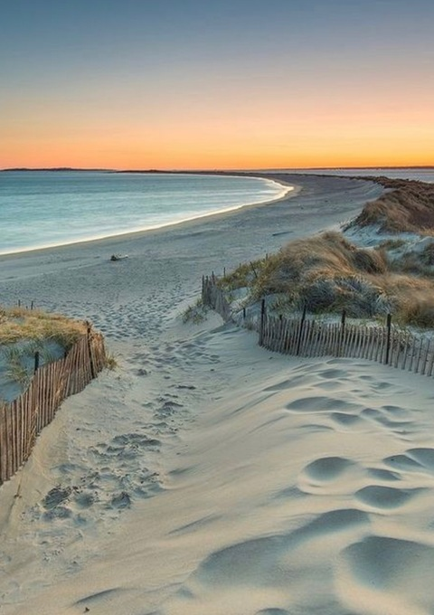 Teha Low @tehalow cover picture