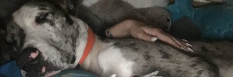 Texas sweetheart @texas_princess cover picture