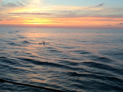 Texaspete11 @texaspete11 cover picture