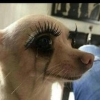 th0tsandprayers Profile Picture