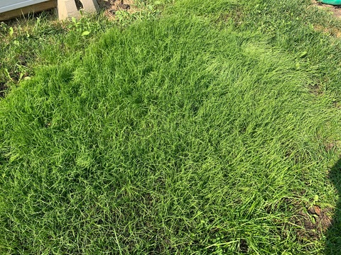 Thatcatdad @thatcatdad cover picture