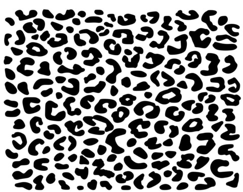 Katie B @thatonebrat cover picture