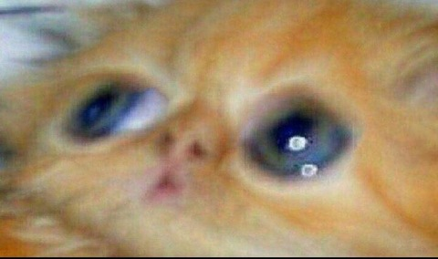 Nyali @thatthickthot cover picture