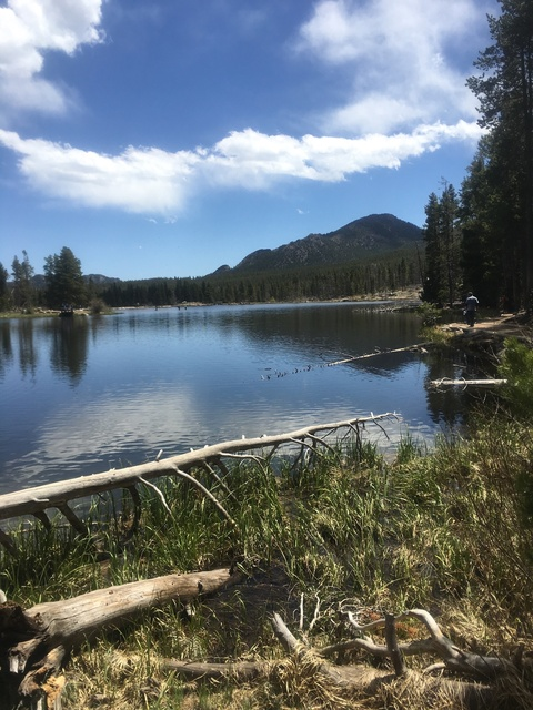 u26859398 @thealaskanbullworm1738 cover picture