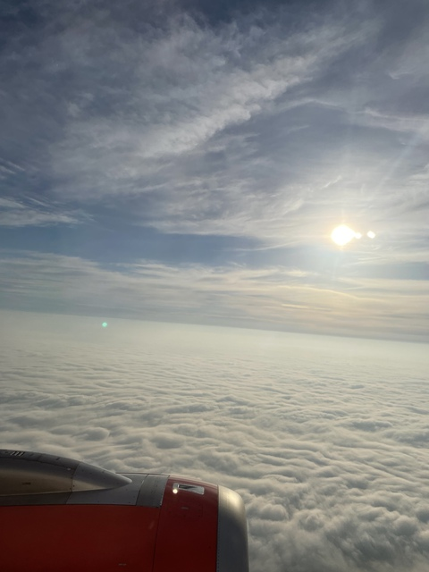 Thea @thealicious cover picture