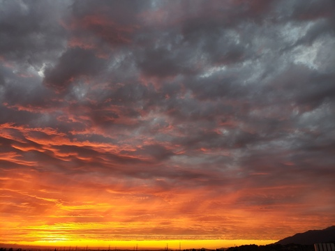 BeachBoy @thebeachboy cover picture