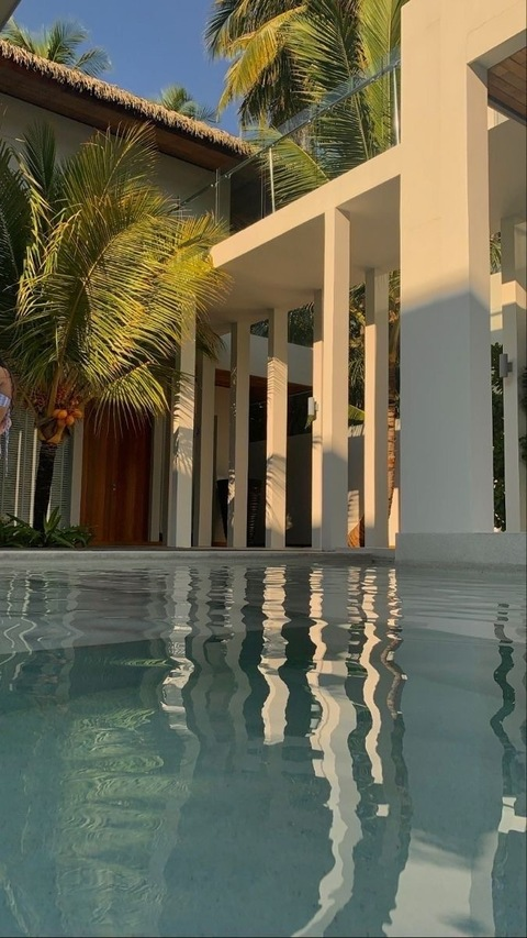 The Don Barbie @thedonbarbie cover picture