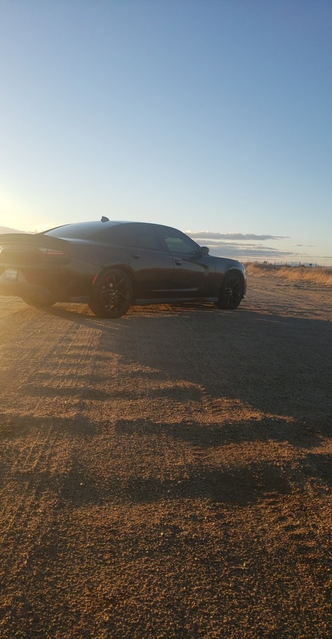 THEEGREENGIANT @theegreengiant818sfv cover picture