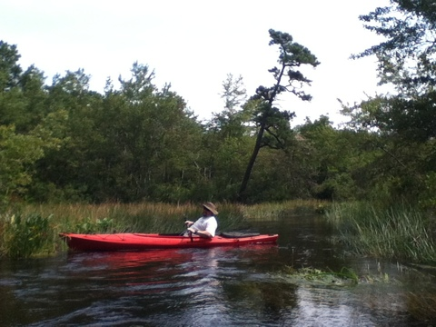 Theetoecutter @theetoecutter cover picture