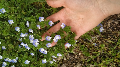 The Ugly Fae @thegoodbaduglyfae cover picture