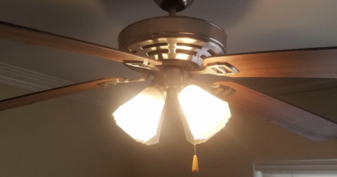 Just Fans @theguyhasfans cover picture