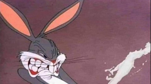 King Teddy 👑🧸 @thekingteddy cover picture