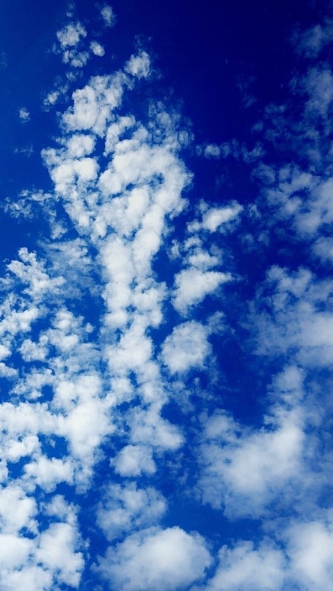 Samantha Fisher @theonly_sammymae cover picture