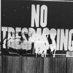 theoriginalbae Profile Picture