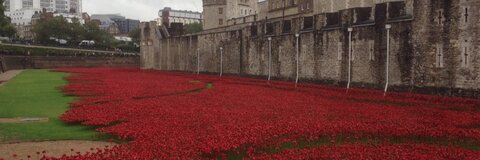 Jon @thepo cover picture