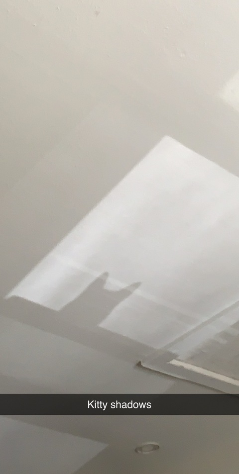 Aurelius @therav2020 cover picture