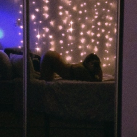 Lil Bambi @thereal_lilbambi cover picture