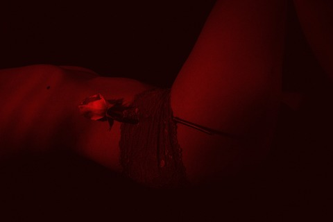 Red Night 🔥 @therednight cover picture