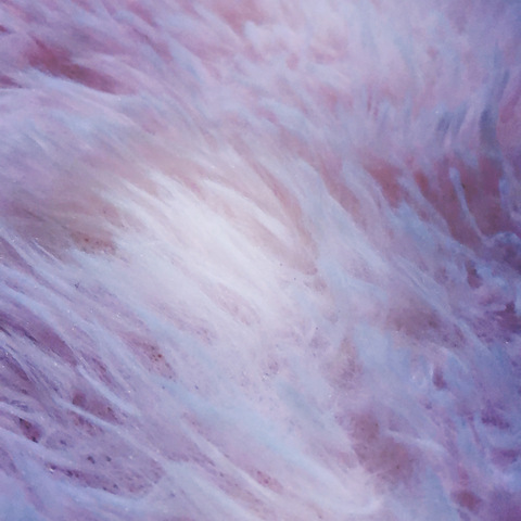 The tiny brown one 🤫😈💖 @thetinybrownone cover picture