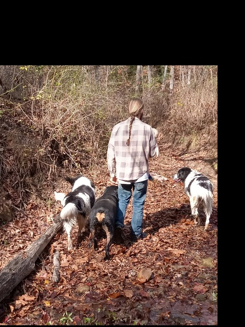 🌿The Wilderness Couple🌿 @thewildernesscouple cover picture