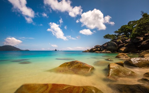 TheWildKing @thewildking cover picture