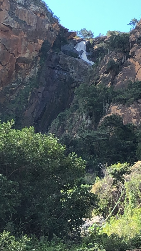 Thiago @thiagocrvg cover picture