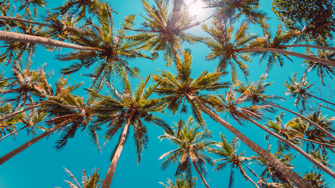 Thicki Minaj @thickiminajj cover picture