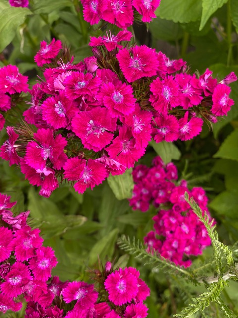 ThicknJuicy96 @thicknjuicybb_96 cover picture