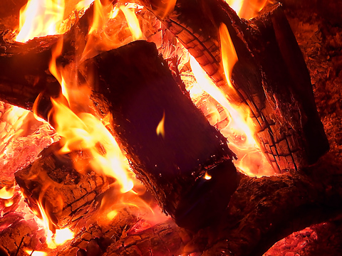 Thierry @thierryphoto cover picture