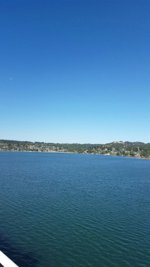 Thomas Wallace @thomaswallace cover picture