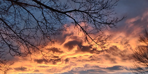 Thomas yukon @thomasyukon cover picture