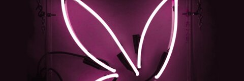 tee 👑 @thtstiaa cover picture