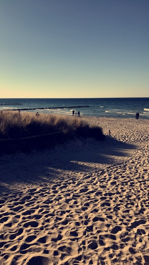 u7531182 @ti0812122 cover picture