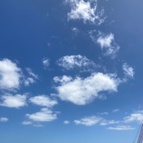 Tia-Cleo❤️ @tiacleocooper cover picture