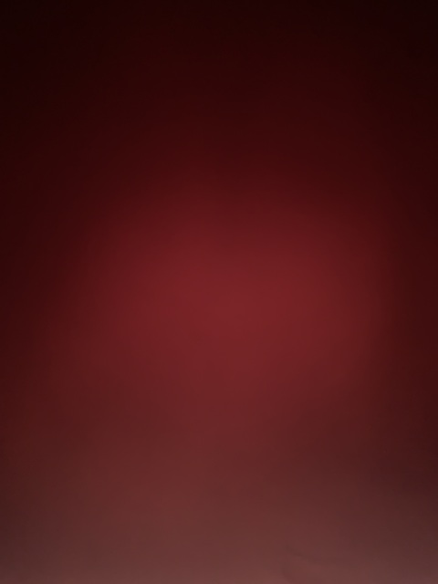 Todelouuu @tildelou1 cover picture