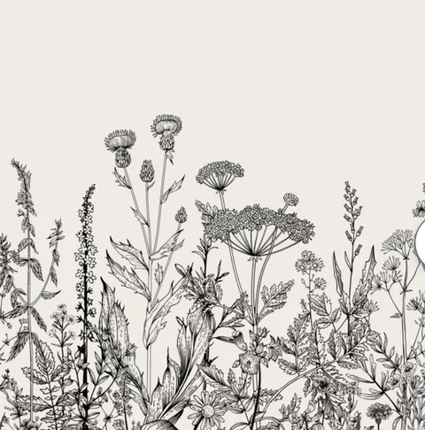 Kitty @tiny-lil-kitty cover picture